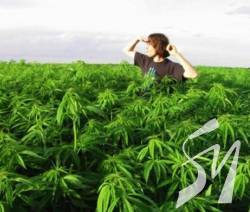 ���������� �� ������ �������� � ��������� ������ 